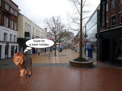 essex lion.jpg