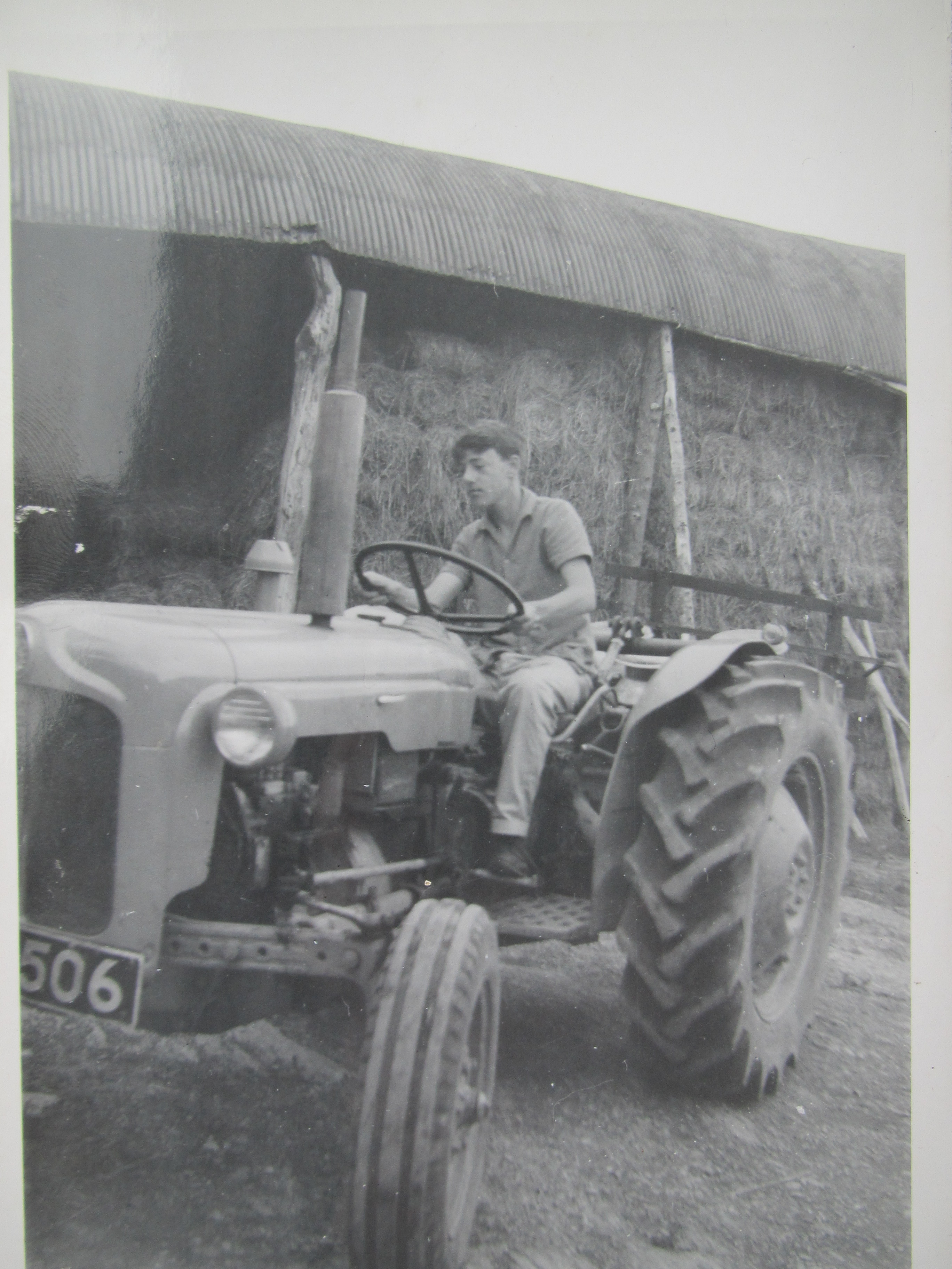 fergy 001.JPG
