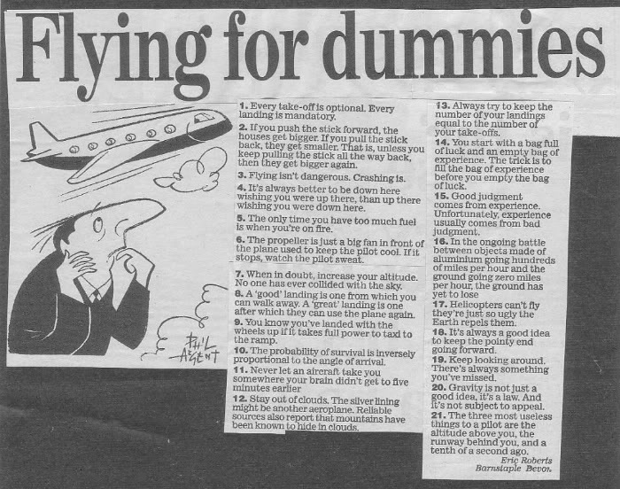 FlyingforDummys-1.jpg