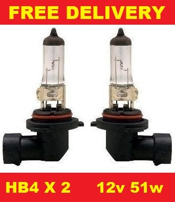Front fog bulbs.JPG