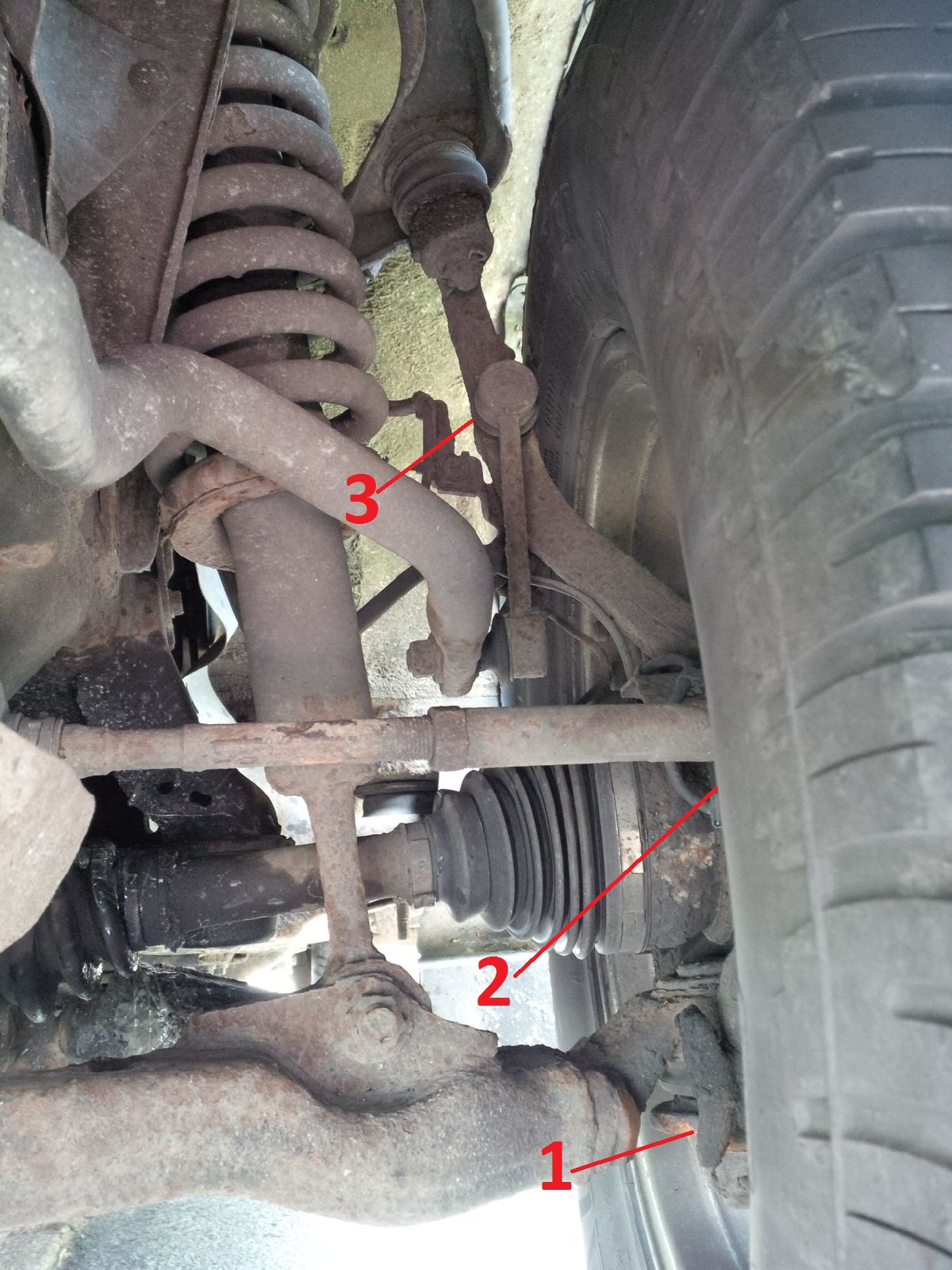 Front Inner CV.jpg