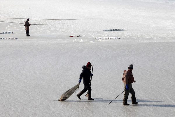Frozen Sea 2.jpg