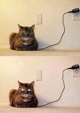 Fully charged.jpg