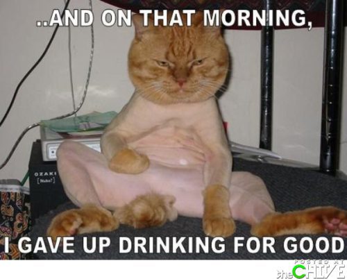 funny-captions-4.jpg