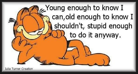 Garfield.jpg