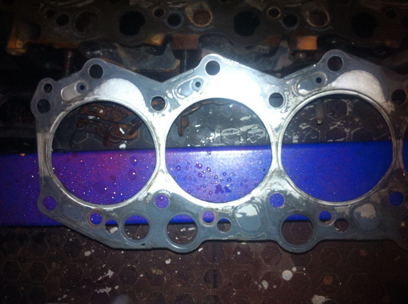 Gasket2.JPG