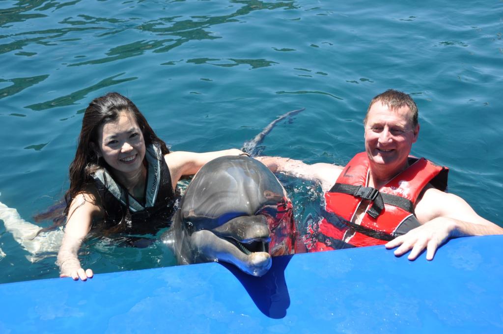 Gooddolphin2.jpg
