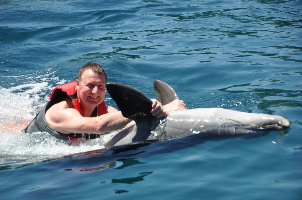Gooddolphin21.jpg