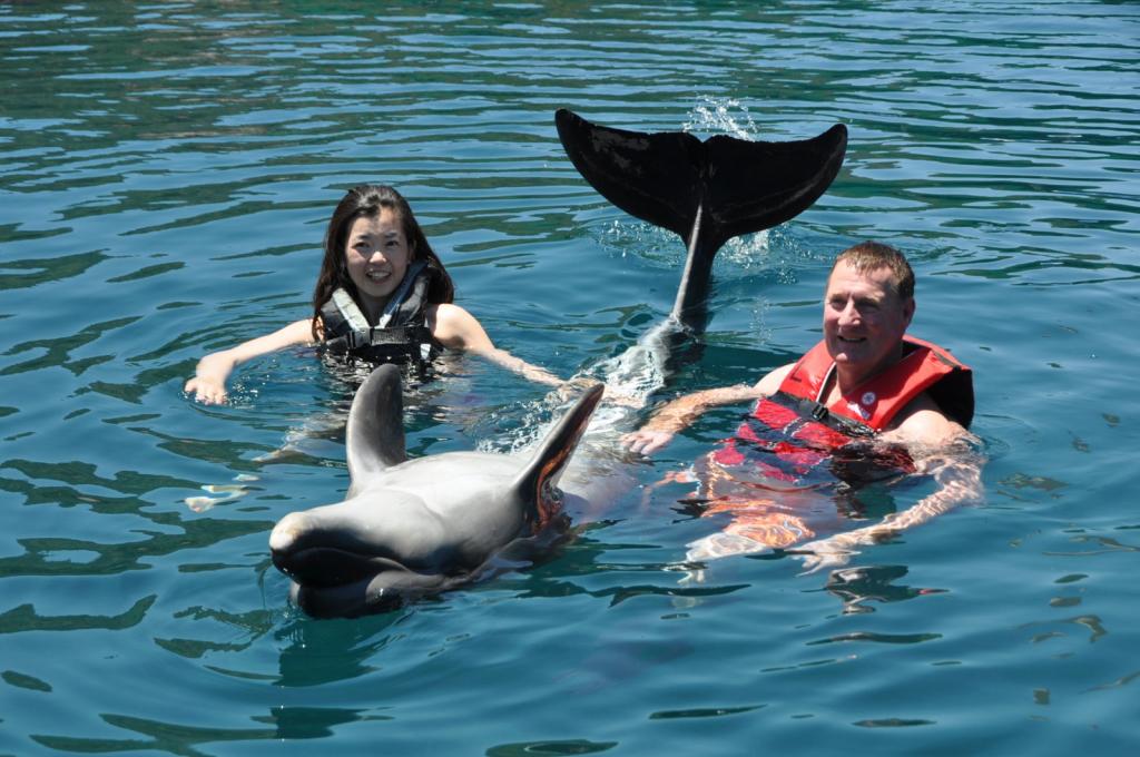 Gooddolphin7.jpg