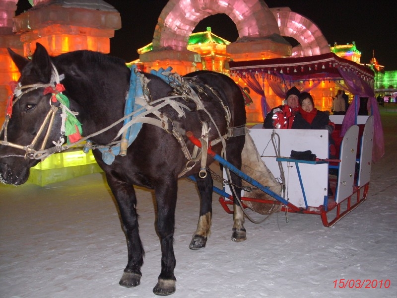 Harbin Ice Fesival 2010 (7).JPG