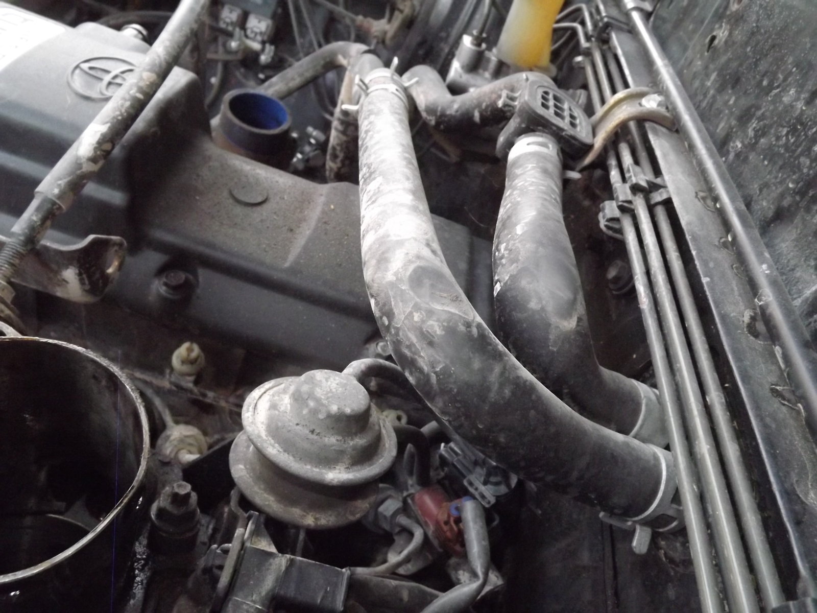 heater pipe 001.JPG