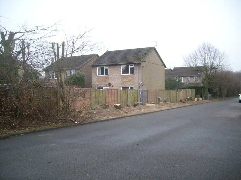 Hedgeinfairacres003.jpg