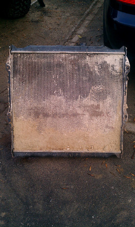 IMAG0066-M.jpg