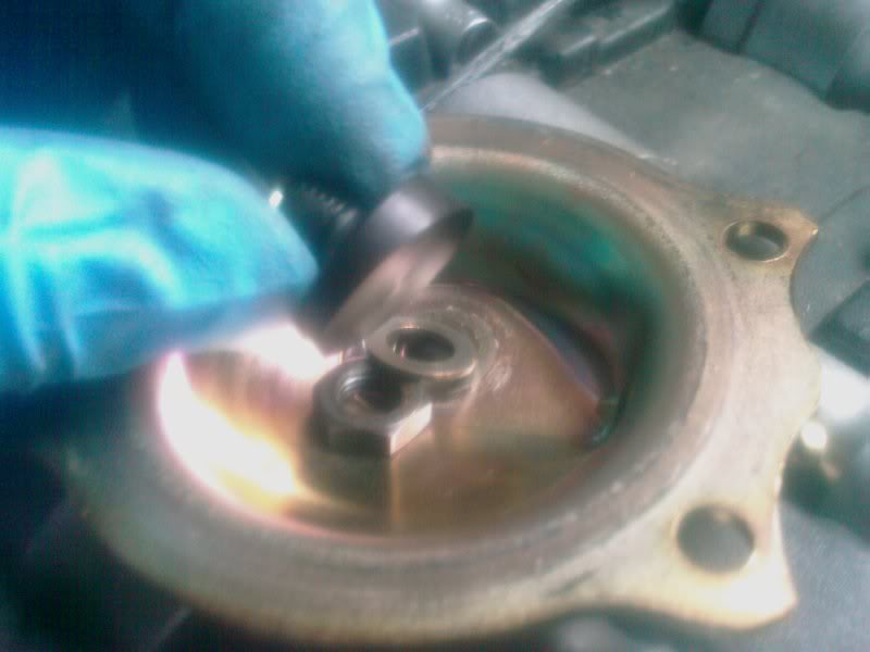 IMAG0222.jpg