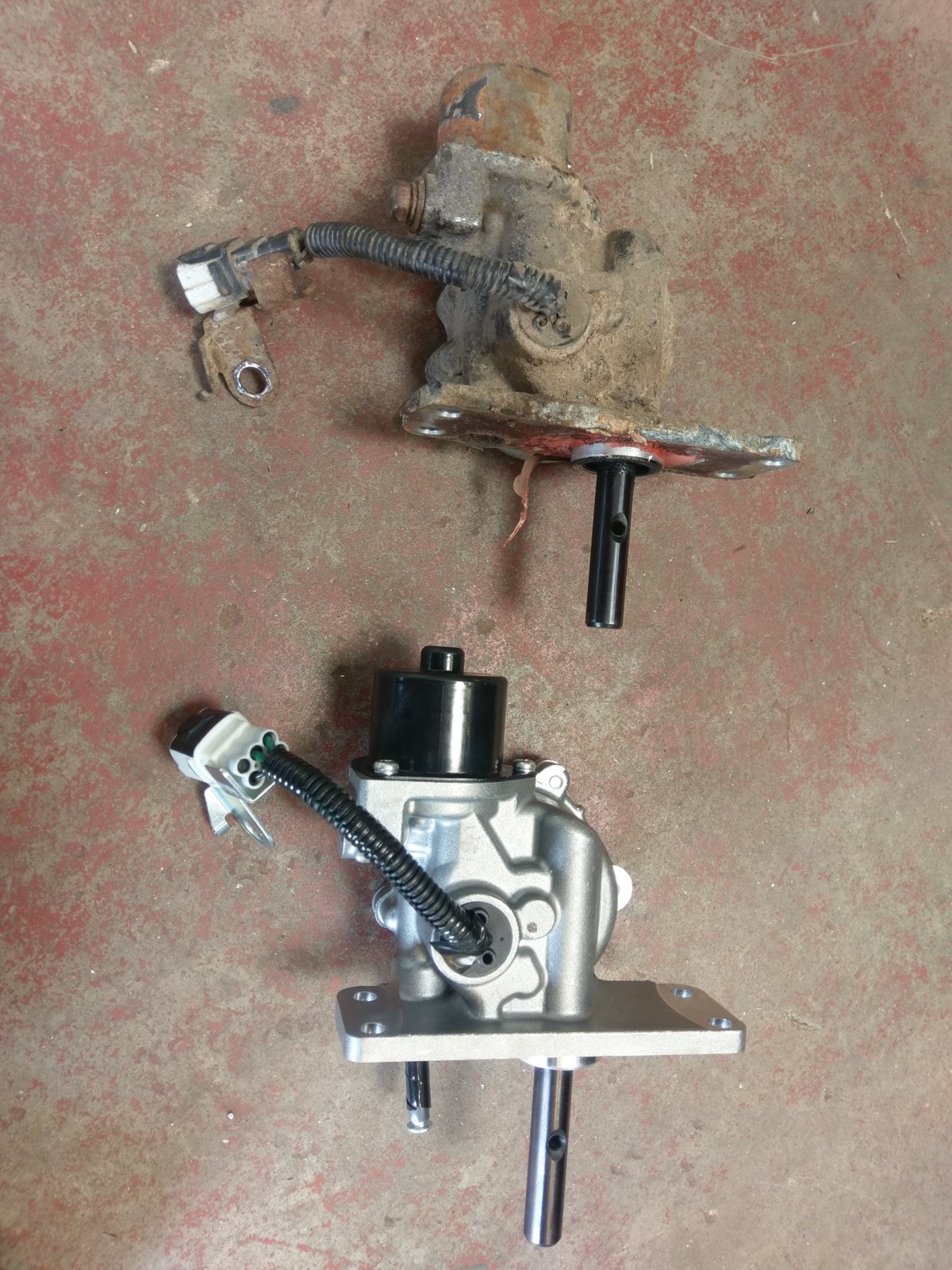 IMAG0266.jpg