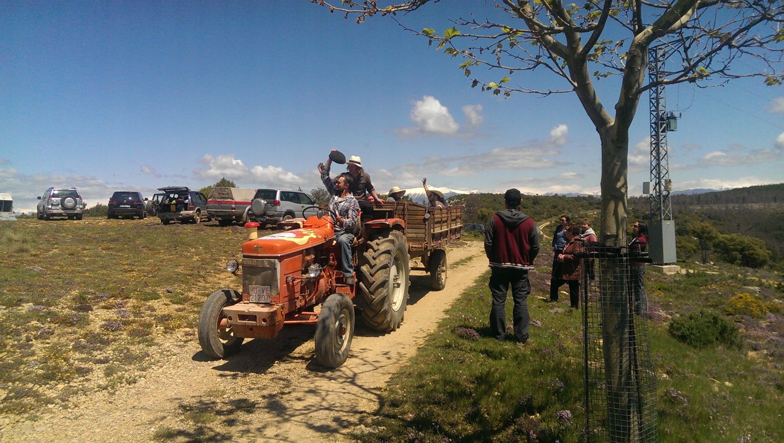 IMAG0547.jpg