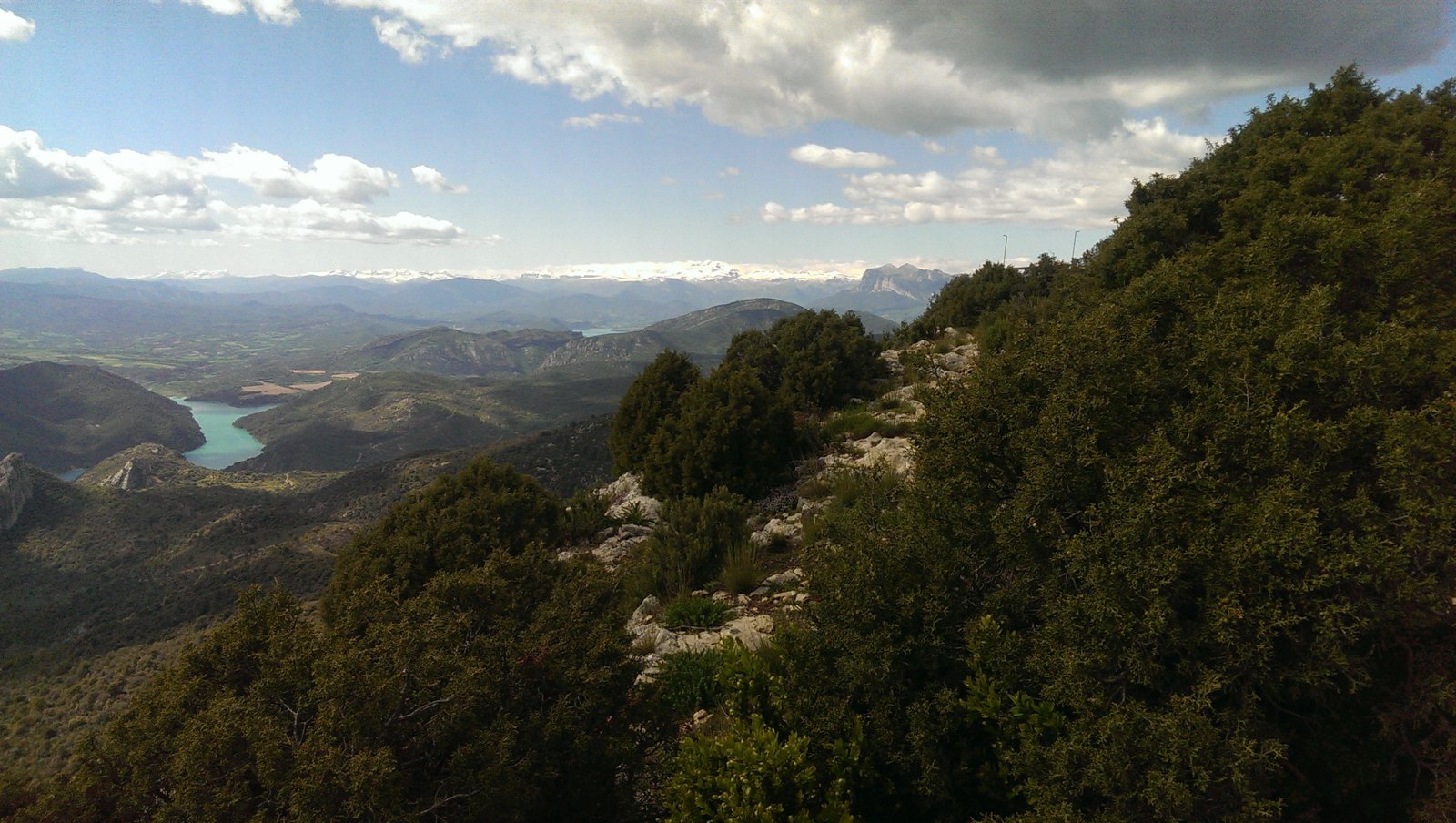 IMAG0575.jpg