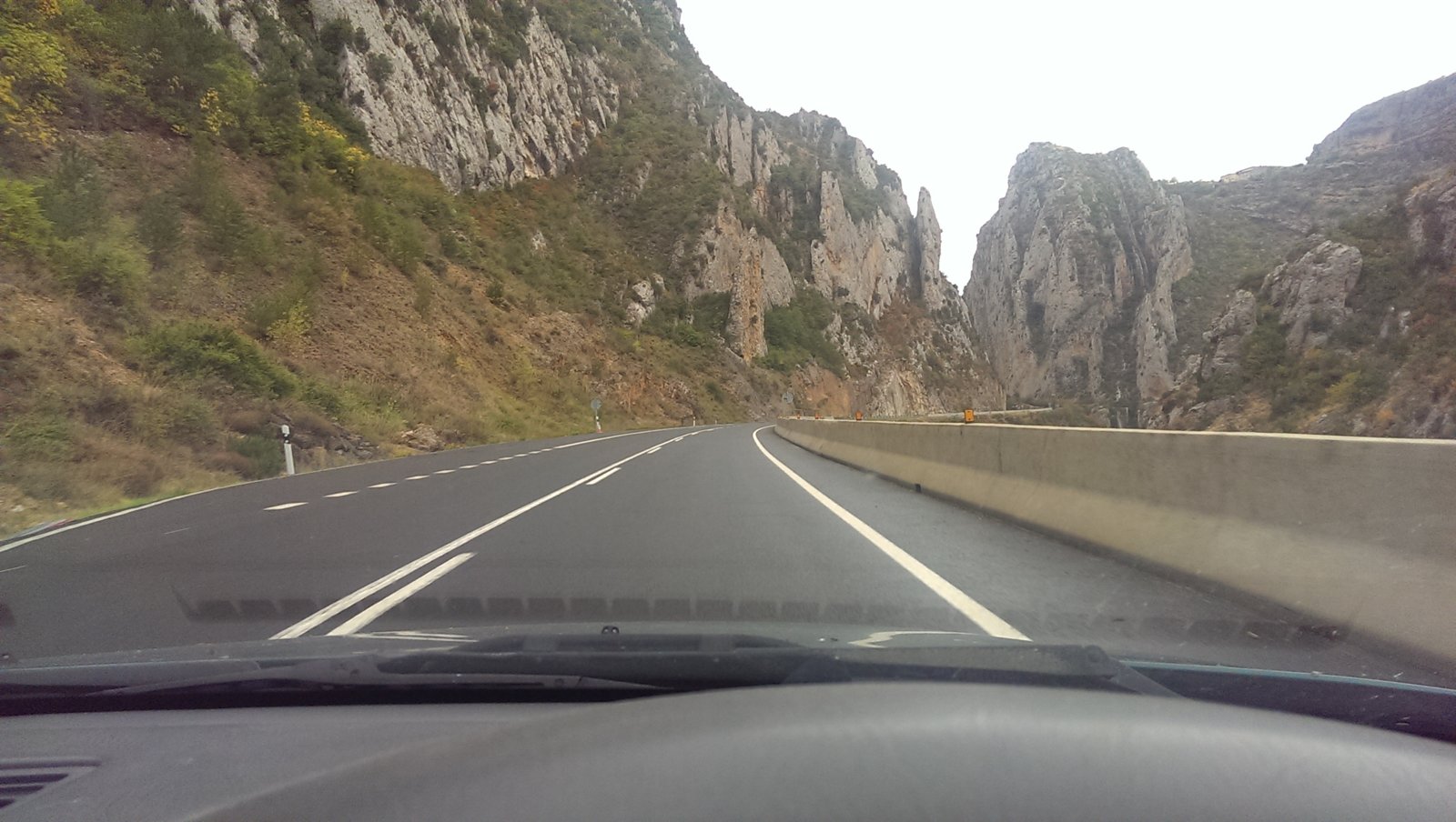 IMAG0814.jpg