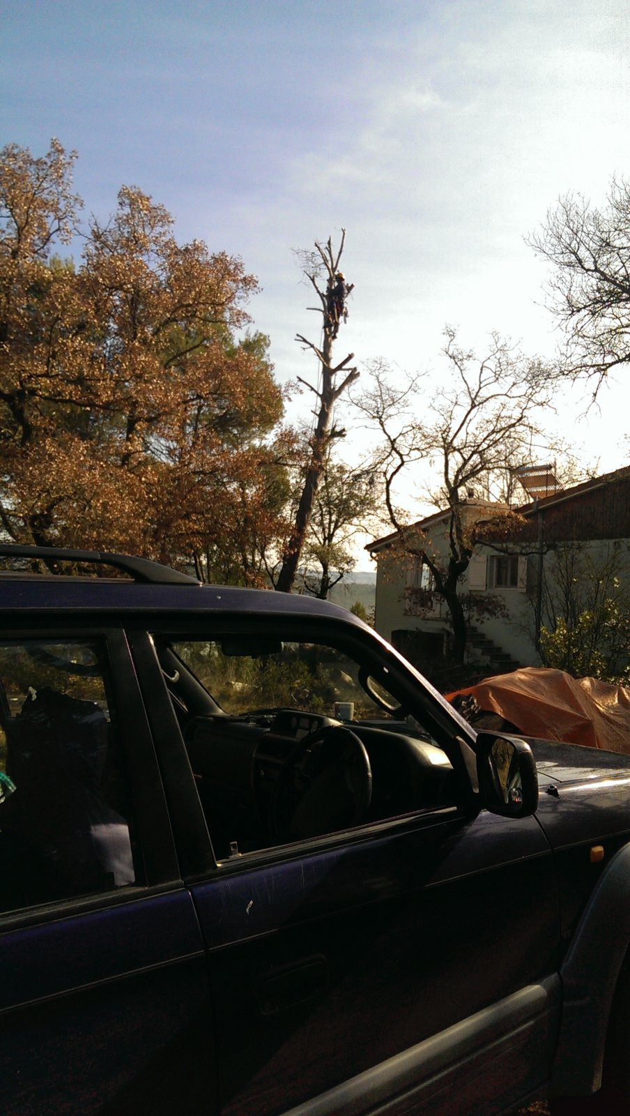 IMAG3148.jpg