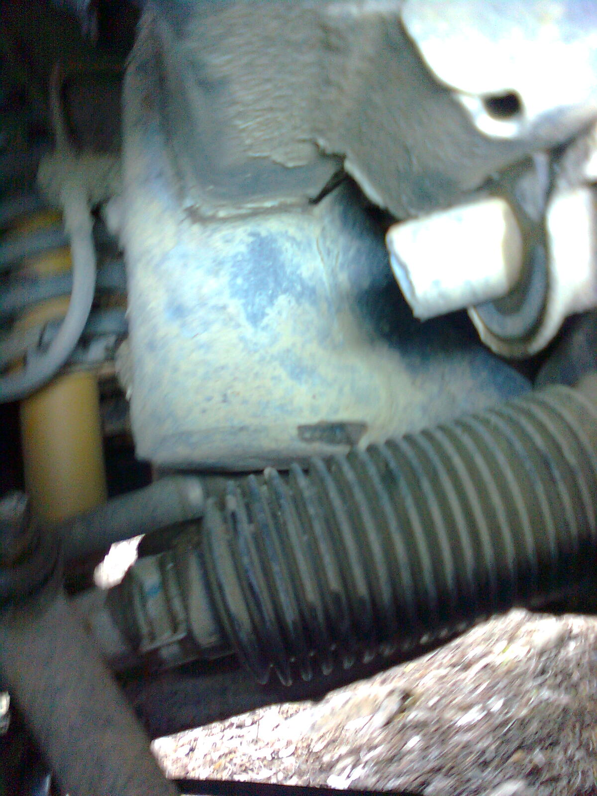 Image0915.jpg