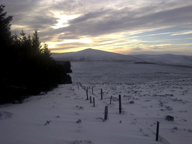 IMG-20111210-00193.jpg