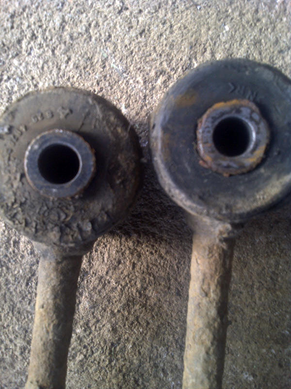 IMG-20130605-00984.jpg