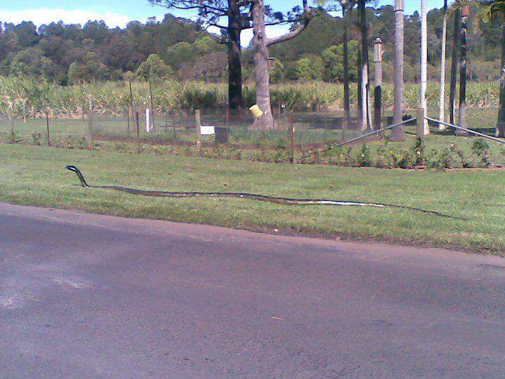 IMG-20150520-WA0000.jpg