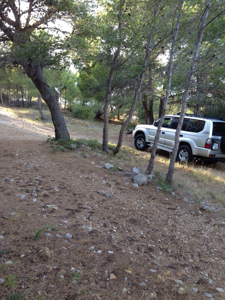 IMG-20150730-WA0013_zpsksfqtivf.jpg