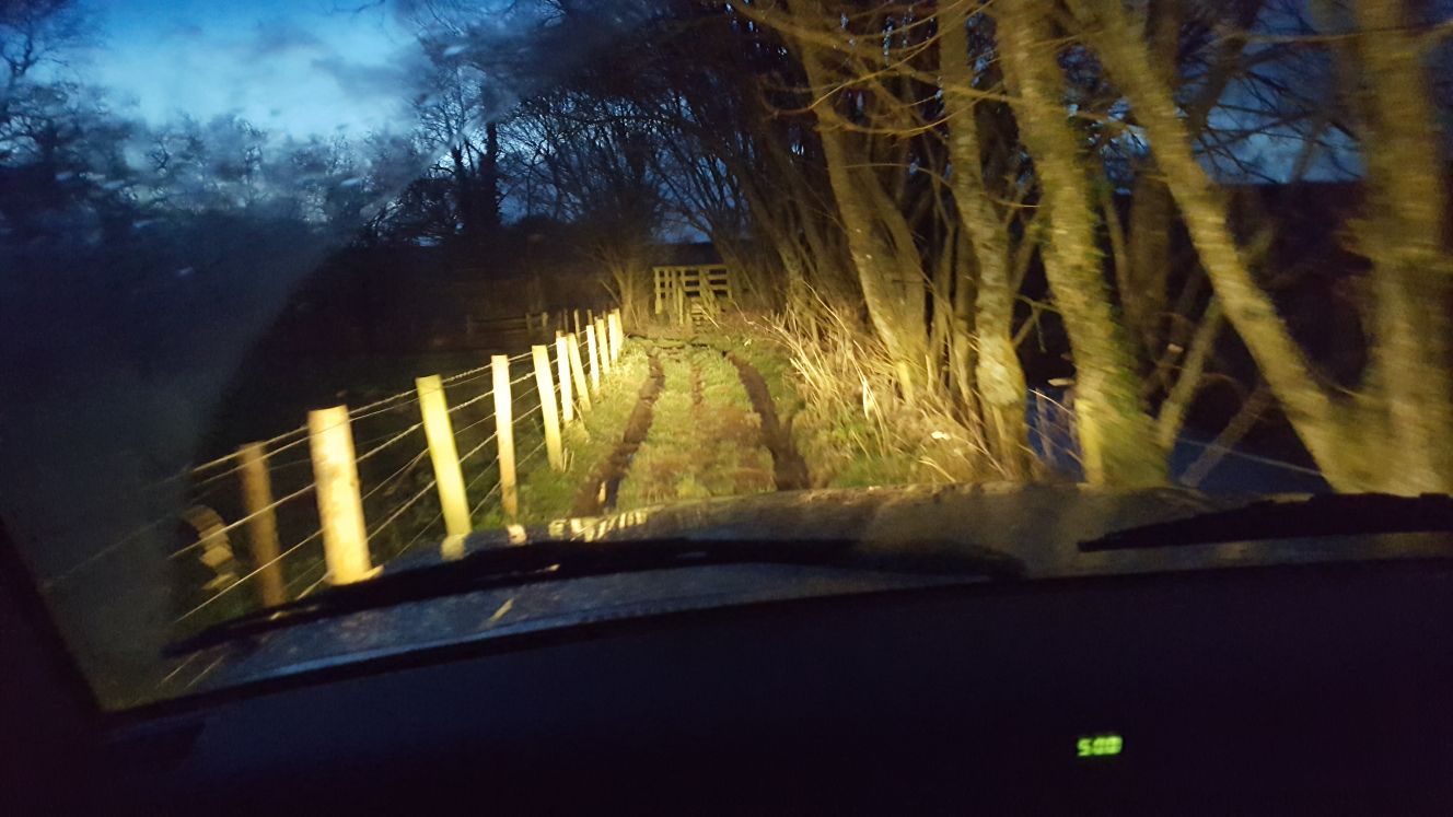 IMG-20180101-WA0006.jpg