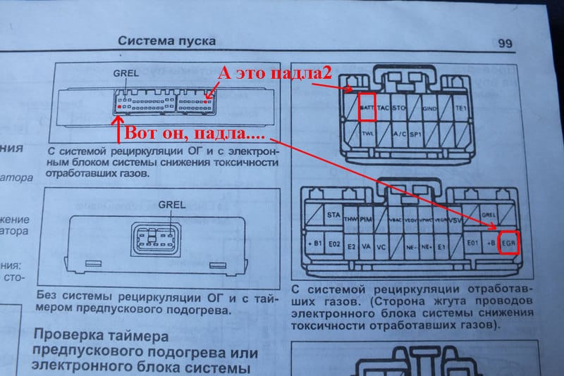 IMG-20181205-WA0000.jpg