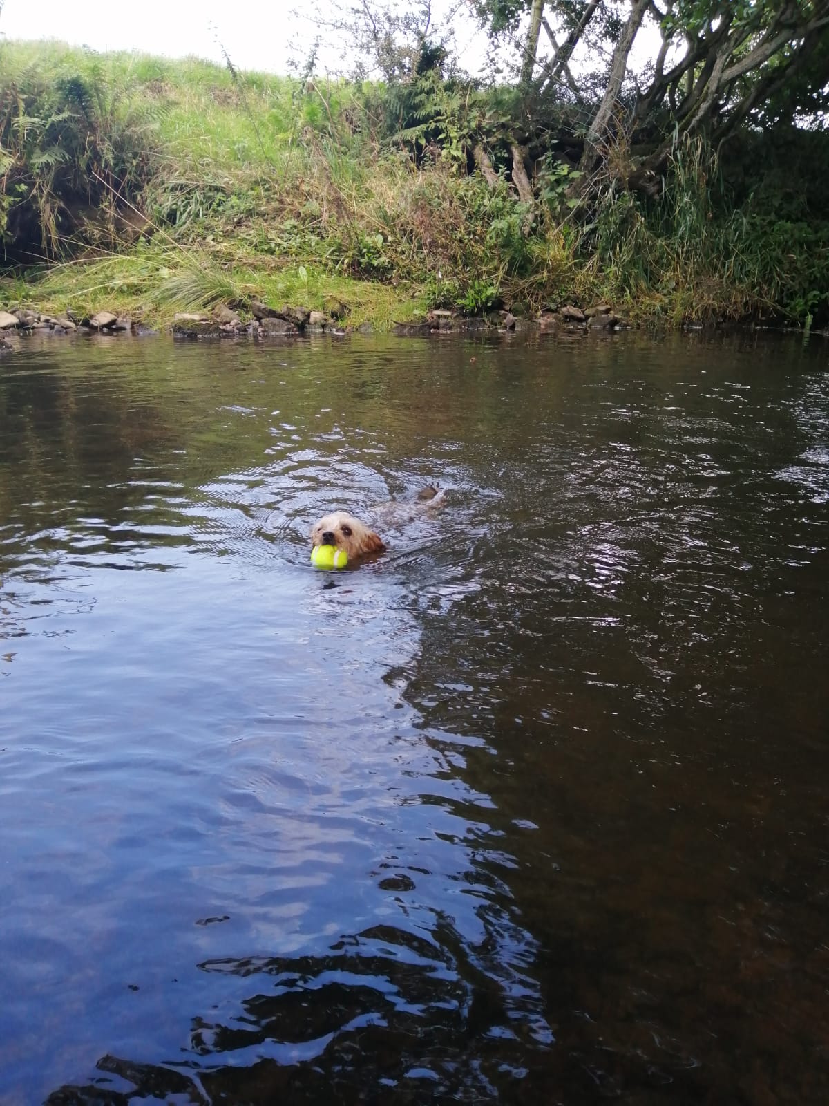 IMG-20190827-WA0018.jpg