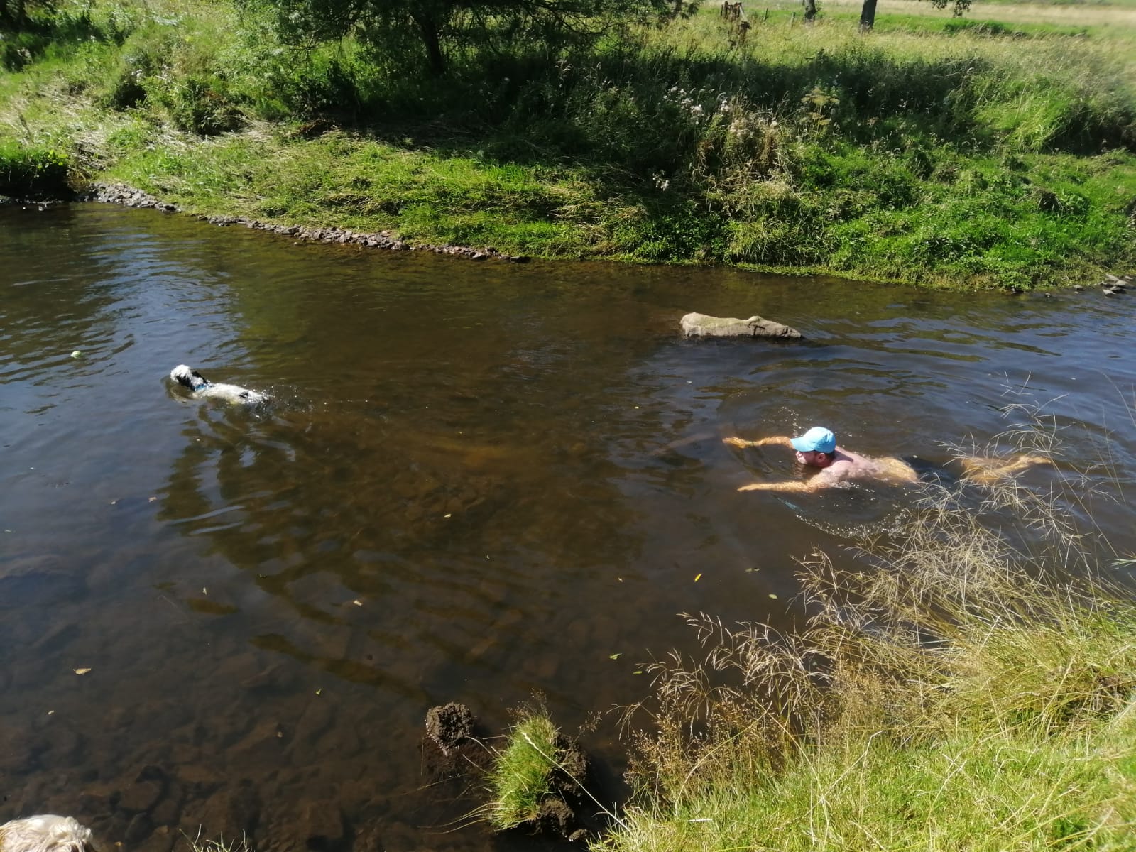 IMG-20190827-WA0027.jpg