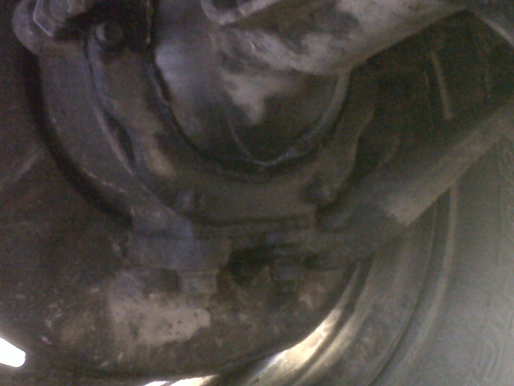 IMG00032-20120527-1021.jpg