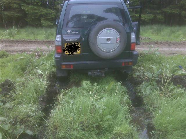 IMG00224.jpg