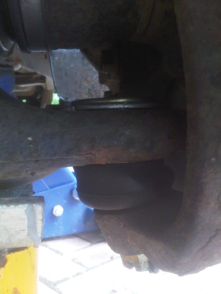 IMG00226-20110710-0950.jpg