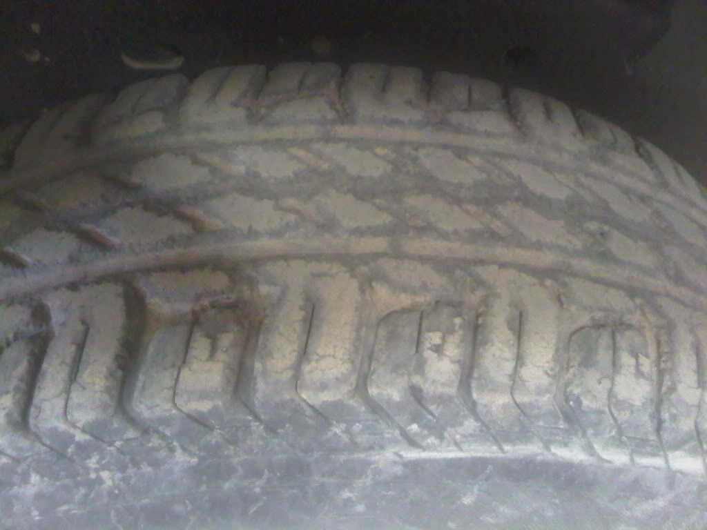 IMG00345-20111204-1254.jpg