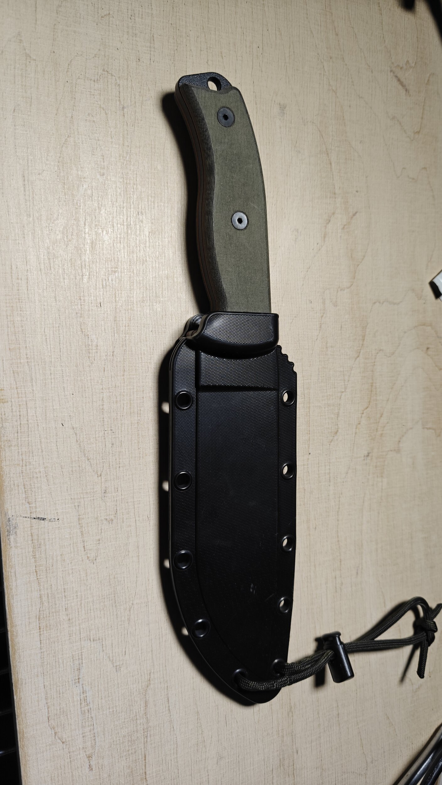 IMG20250131151926.jpg