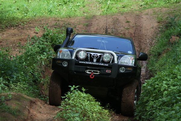 IMG9399-M.jpg
