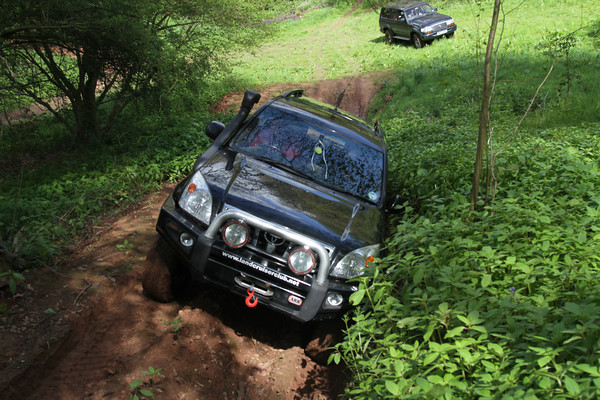 IMG9411-M.jpg