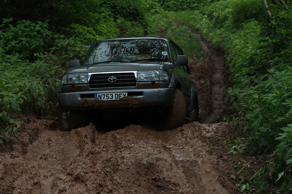 IMG9574-M.jpg