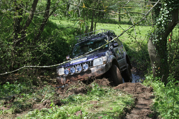IMG9600-M.jpg