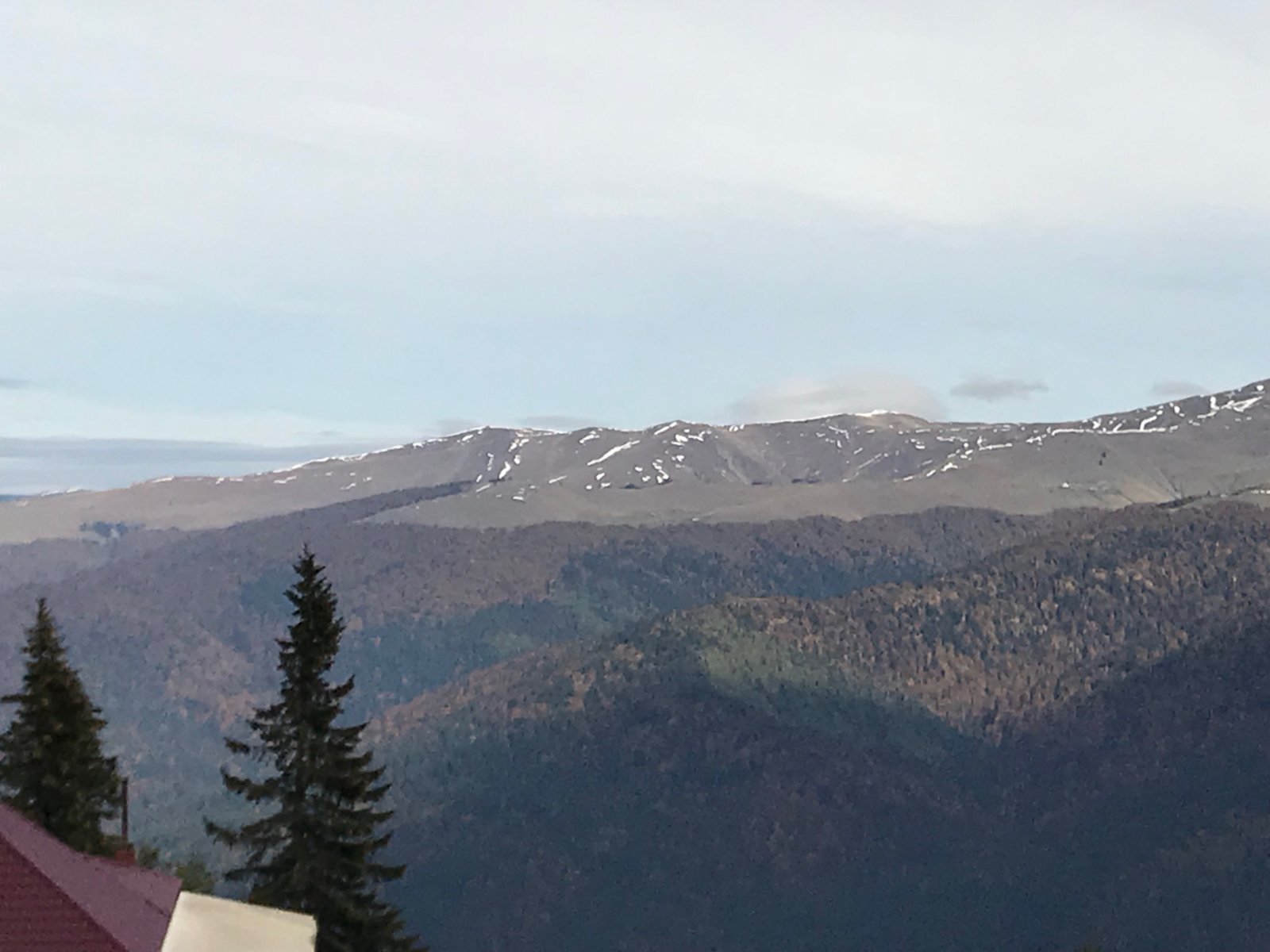 IMG_0638.JPG