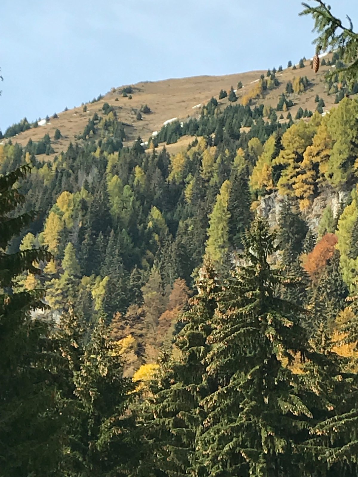 IMG_0642.JPG