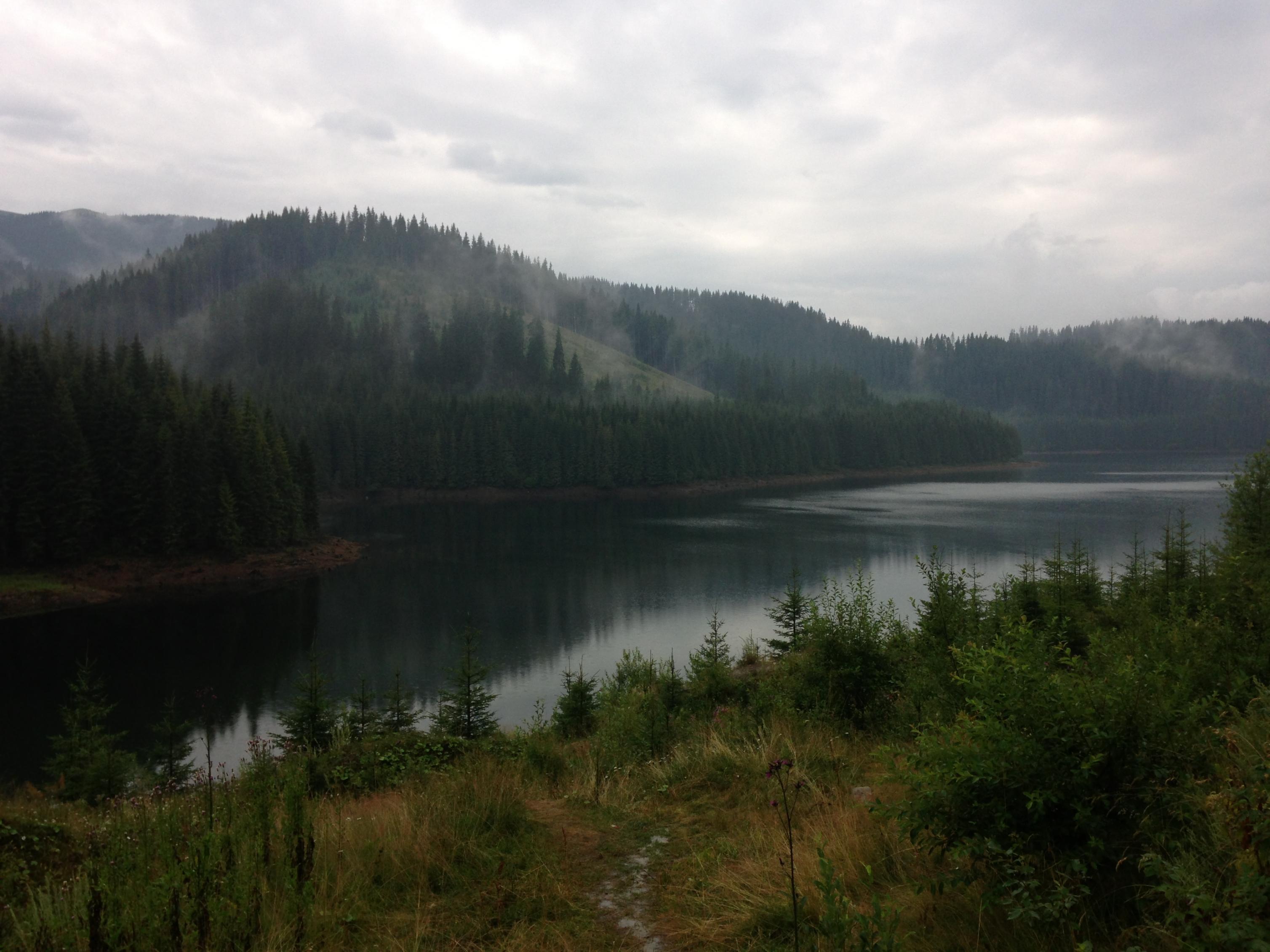 IMG_1164.jpg