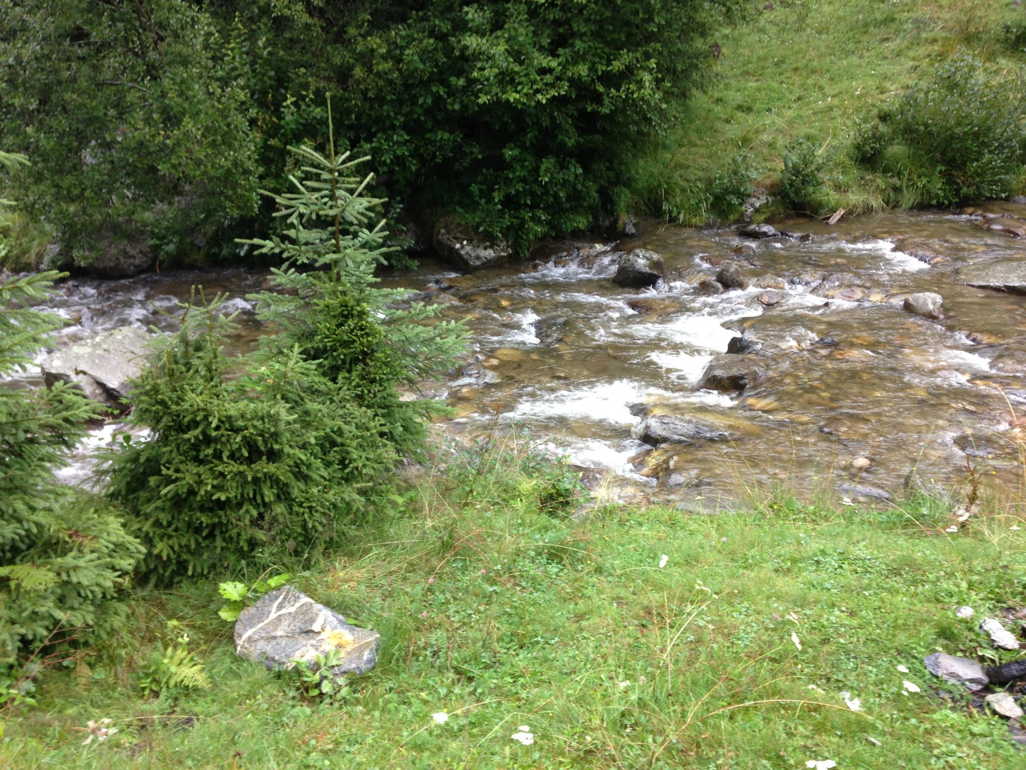 IMG_1171.jpg