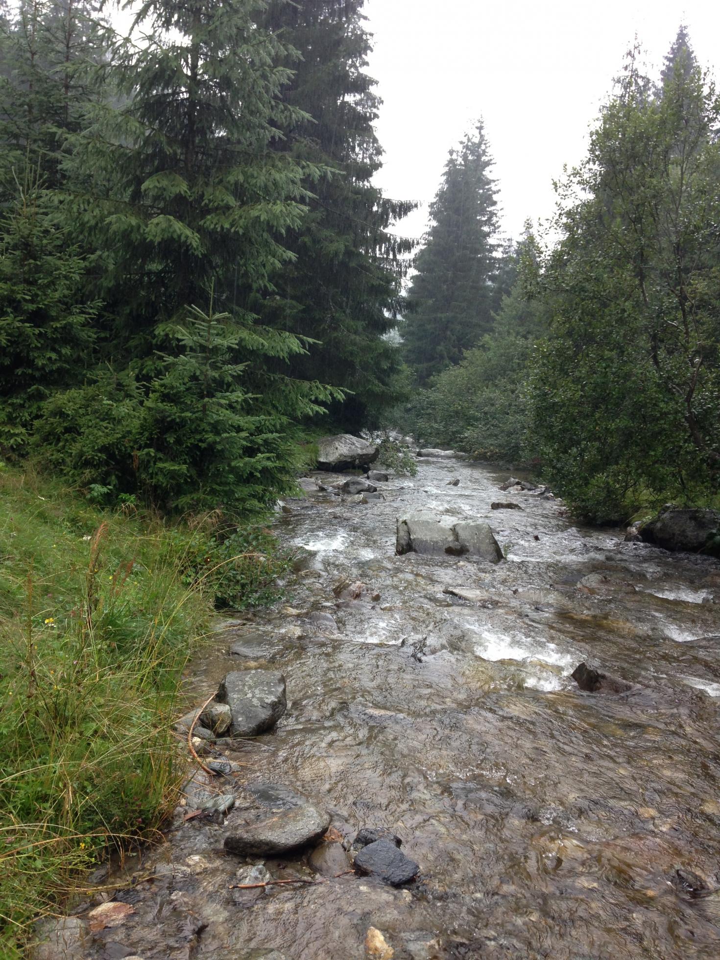 IMG_1173.jpg