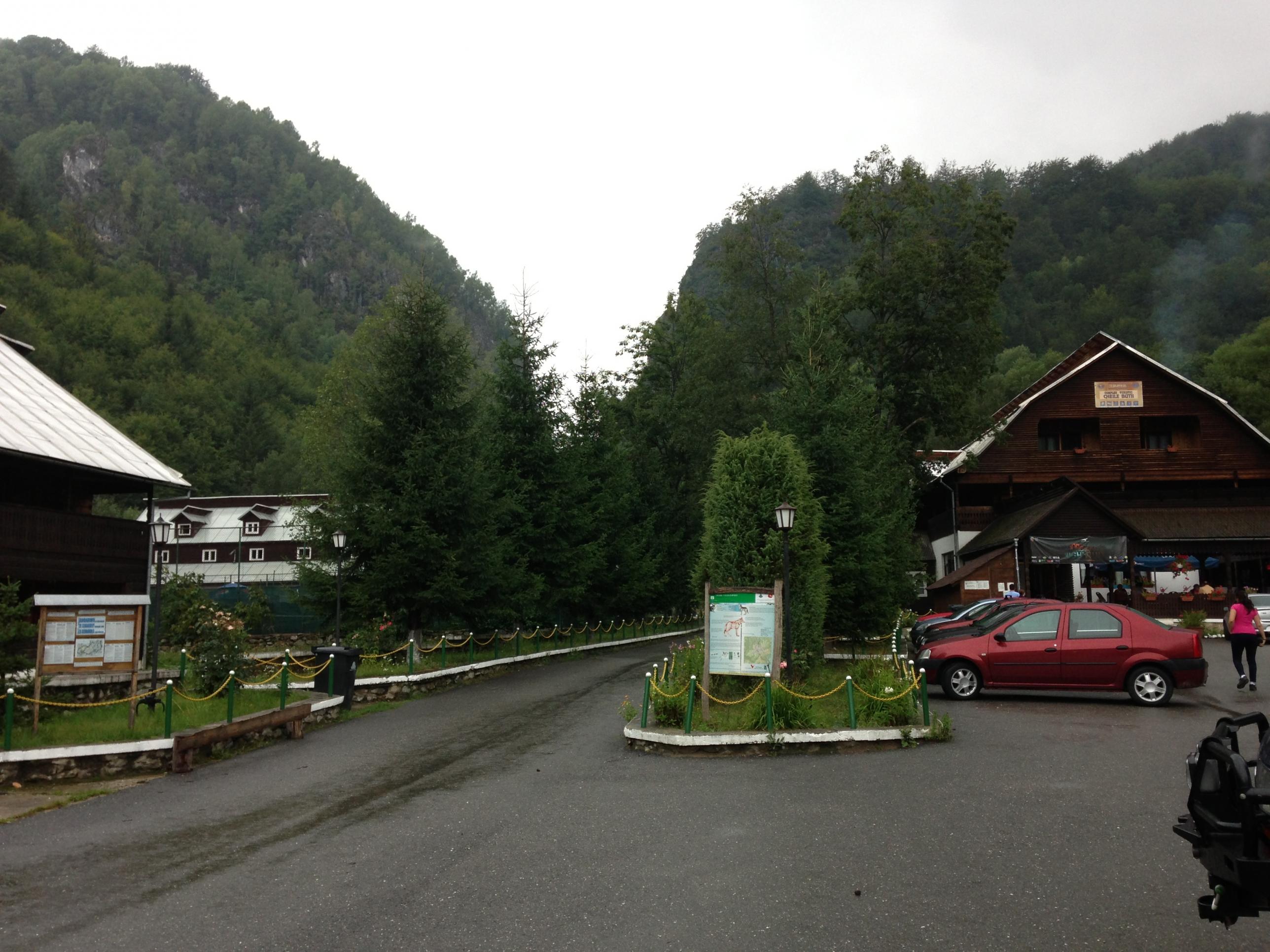 IMG_1185.jpg