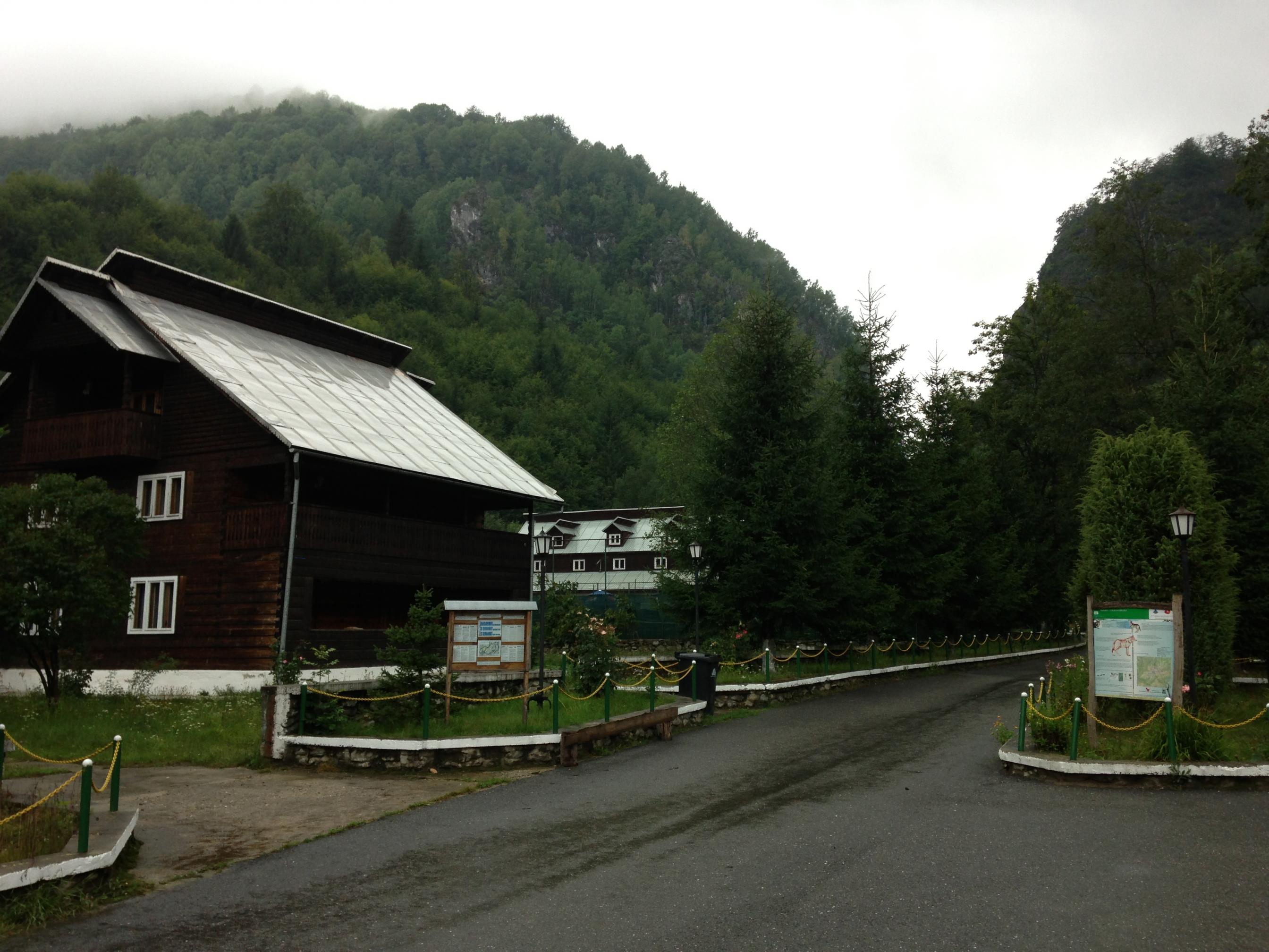 IMG_1186.jpg