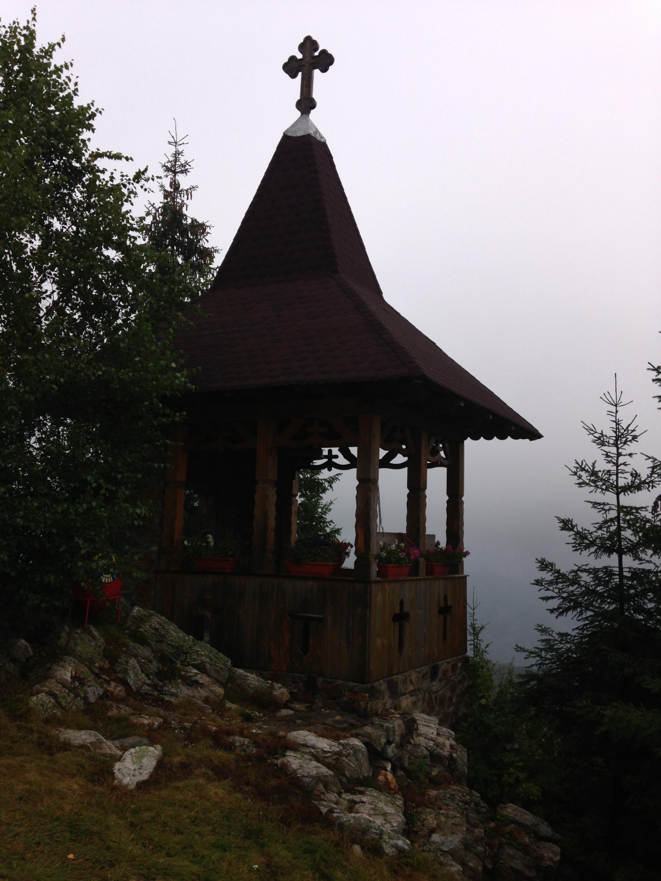 IMG_1230.jpg