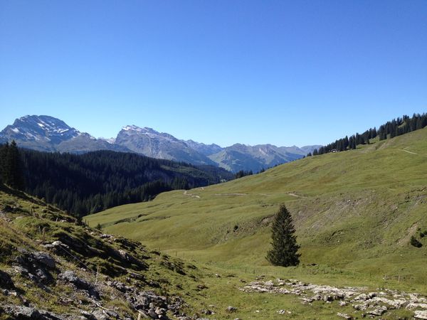 IMG_1238.JPG